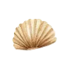 🐚 Эмодзи «Морские Узоры» для Telegram