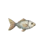 🐟 Эмодзи «Морские Узоры» для Telegram