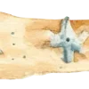 〰️ Эмодзи «Морские Узоры» для Telegram