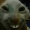 😂 Эмодзи «Olsiortwitchani» для Telegram