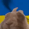 🇺🇦 Эмодзи «Olsiortwitchani» для Telegram