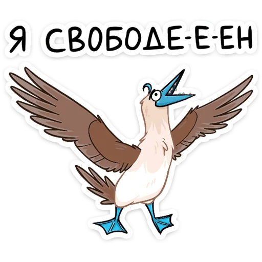 🦅 Стикер «Олуша» для Telegram