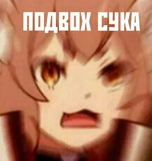 🌚 Стикер «Топчик пак» для Telegram