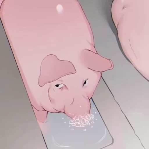 🐽 Стикер «Animated Stickers» для Telegram