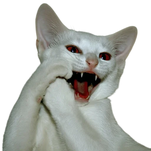 🐱 Стикер «online gothic» для Telegram