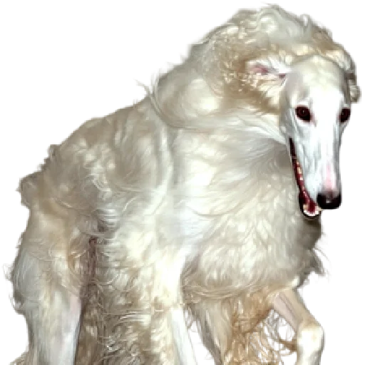 🐩 Стикер «online gothic» для Telegram
