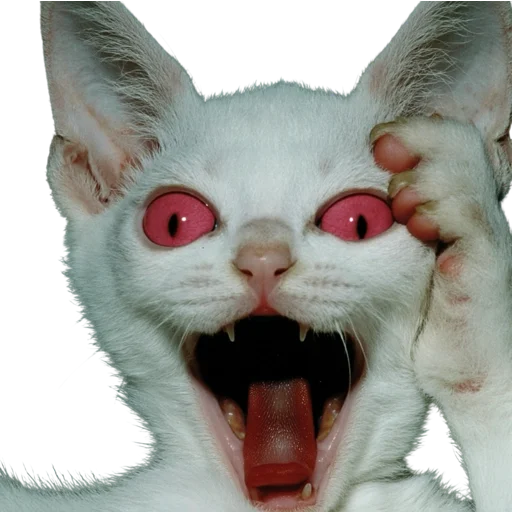 🐱 Стикер «online gothic» для Telegram