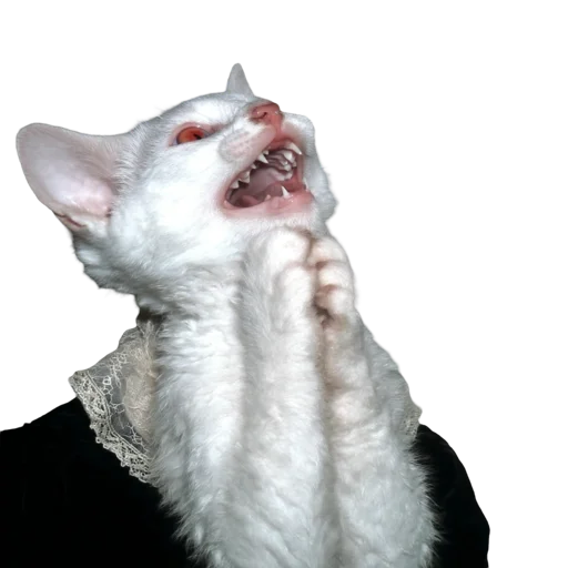 🐱 Стикер «online gothic» для Telegram