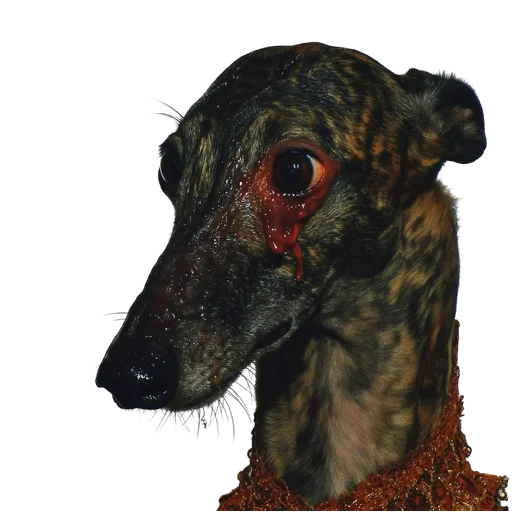 🐕 Стикер «online gothic» для Telegram