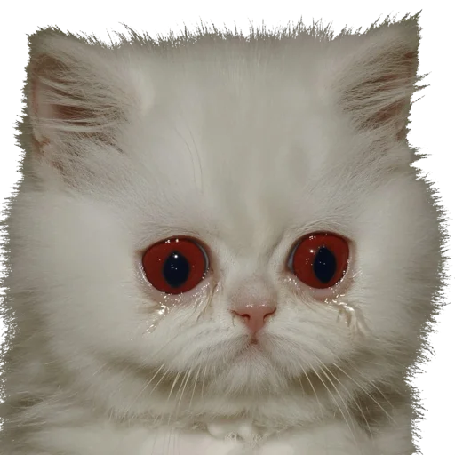 🐱 Стикер «online gothic» для Telegram
