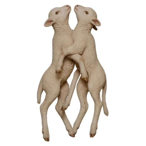 🐏 Стикер «online gothic» для Telegram