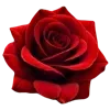🌸 Эмодзи «Just flowers» для Telegram