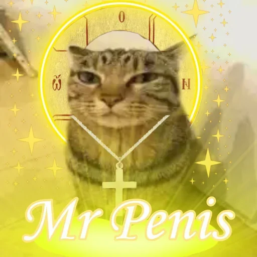 😔 Стикер «only mr penis» для Telegram