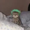 😺 Эмодзи «One Piece» для Telegram