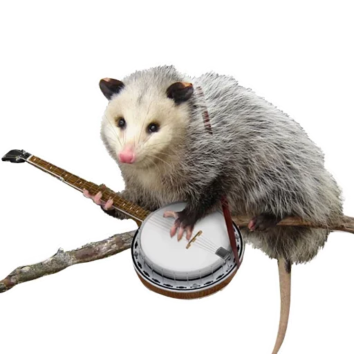 😟 Стикер «Opossum Coming» для Telegram
