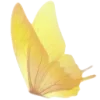 🦋 Эмодзи «🌅 Оранжевые миленькие эмоджи» для Telegram