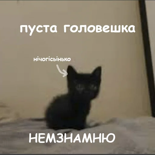 😐 Стикер «оркад коханець циць» для Telegram