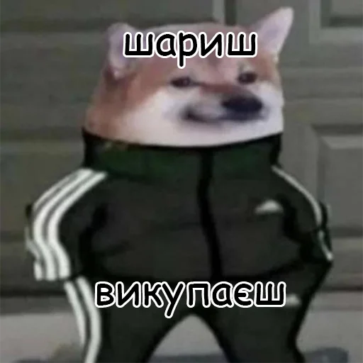 😏 Стикер «оркад коханець циць» для Telegram