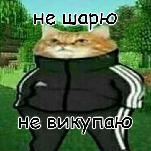 ☹️ Стикер «оркад коханець циць» для Telegram