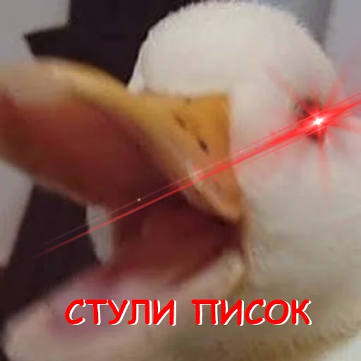 😡 Стикер «оркад коханець циць» для Telegram