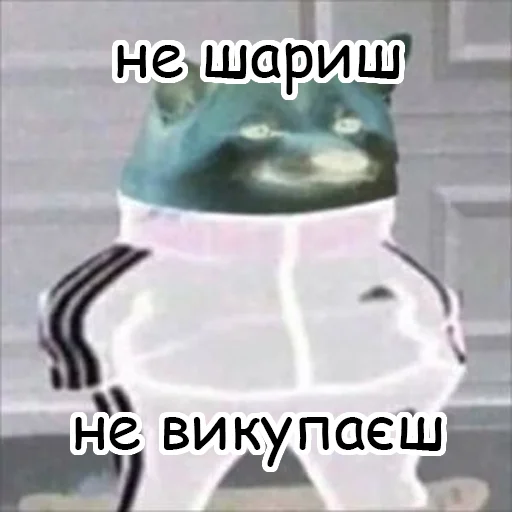 🙄 Стикер «оркад коханець циць» для Telegram