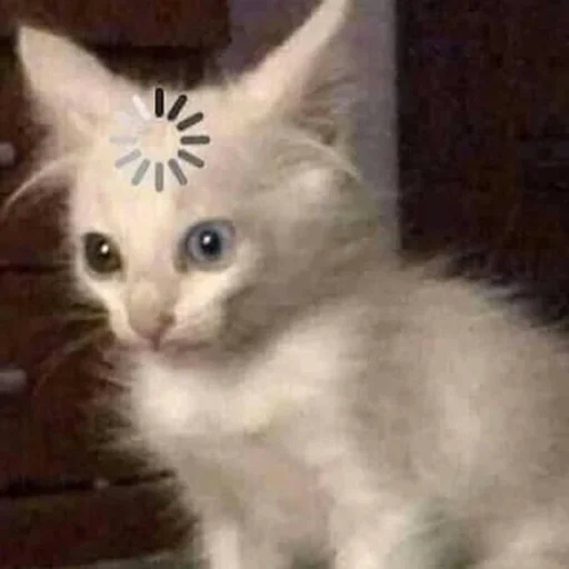 😨 Стикер «Orlmemes» для Telegram