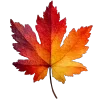 🍁 Эмодзи «Осень 5» для Telegram