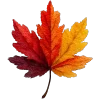 🍁 Эмодзи «Осень 5» для Telegram