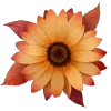 🌻 Эмодзи «Осень 5» для Telegram
