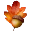 🍁 Эмодзи «Осень 5» для Telegram