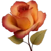 🌹 Эмодзи «Осень 5» для Telegram