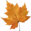🍁 Эмодзи «Осенний Уют» для Telegram
