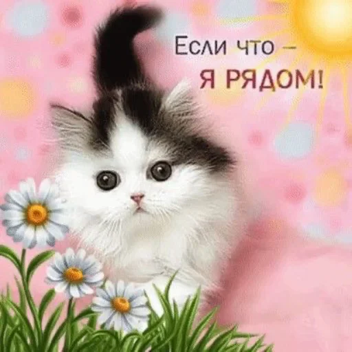 ❤️ Стикер «Открыточки» для Telegram
