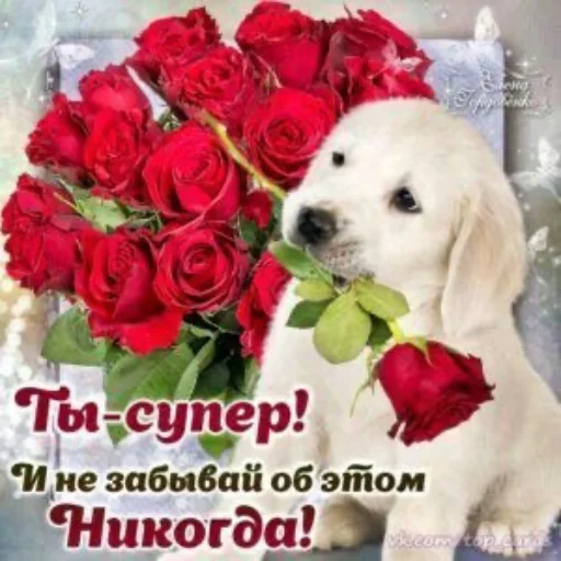 ❤️ Стикер «Открыточки» для Telegram