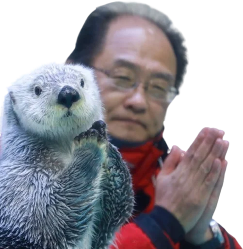 🦦 Стикер «Otters Gotta Ott 4» для Telegram