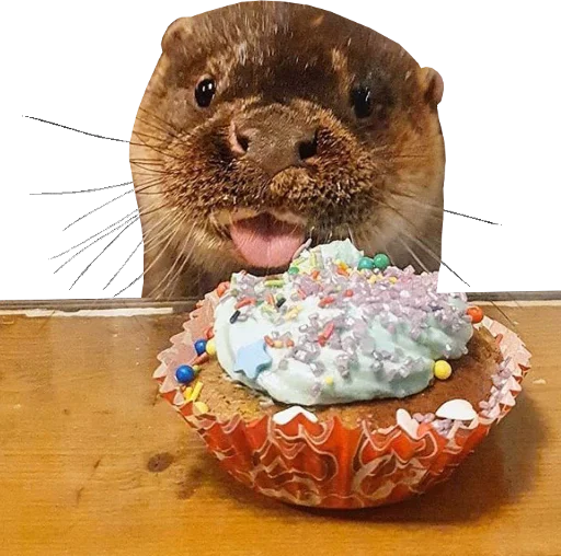 Стикерпак Otters Gotta Ott 4 для Telegram — скачать