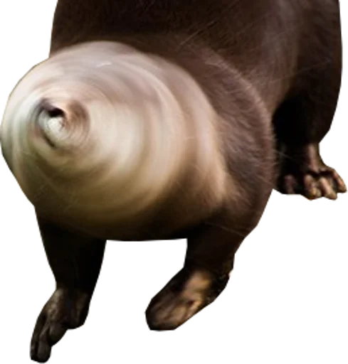 🍥 Стикер «Otters Gotta Ott 4» для Telegram