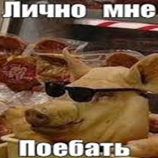 ❓ Стикер «Ответы/Нет негативу» для Telegram