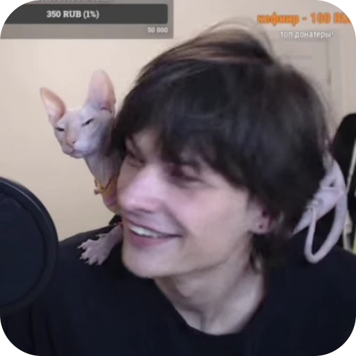 🐈 Стикер «ЮГ 404» для Telegram
