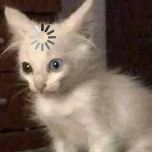 😟 Стикер «hœ’s mood» для Telegram