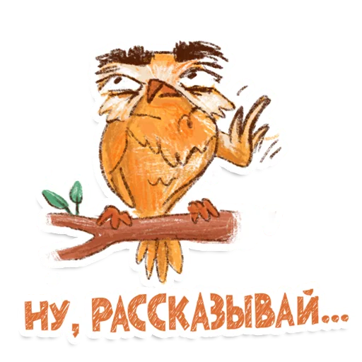 Стикерпак Owl для Telegram — скачать