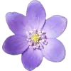 🤩 Эмодзи «Озёрная русалка #status #vibe» для Telegram