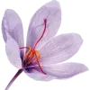 🤩 Эмодзи «Озёрная русалка #status #vibe» для Telegram