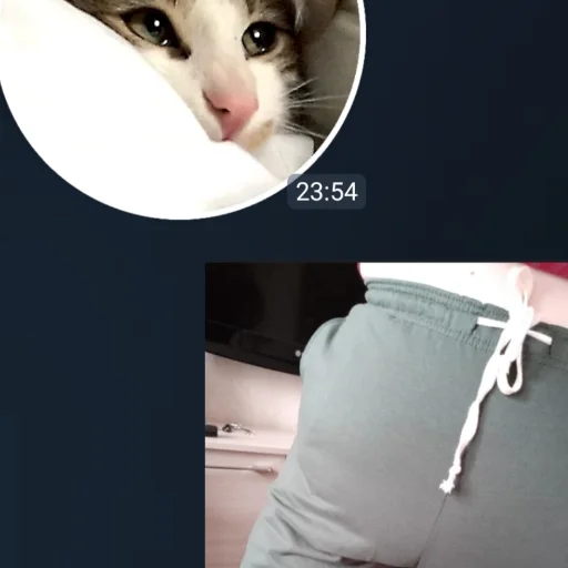 ❤️ Стикер «ozonshots» для Telegram