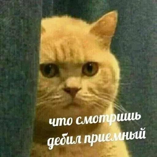 😾 Стикер «П остирония» для Telegram