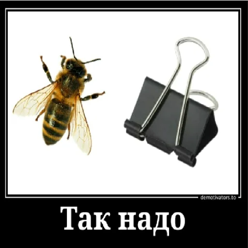 🐝 Стикер «П остирония» для Telegram