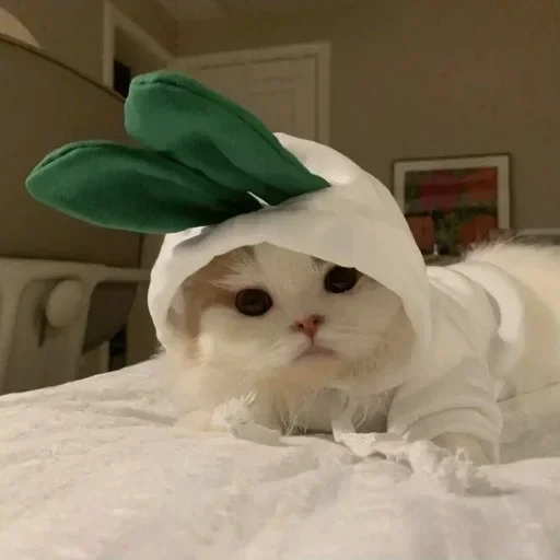 🐇 Стикер «Кошки и котята» для Telegram