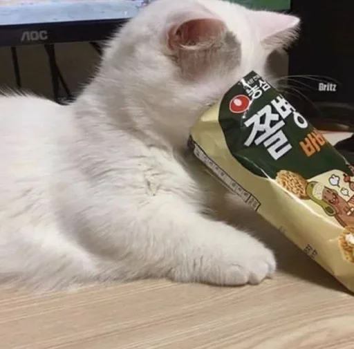 🥺 Стикер «Кошки и котята» для Telegram