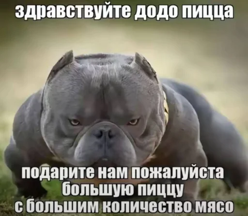 🤩 Стикер «Маринованная моча» для Telegram