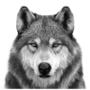 🤩 Эмодзи «Game of Thrones» для Telegram